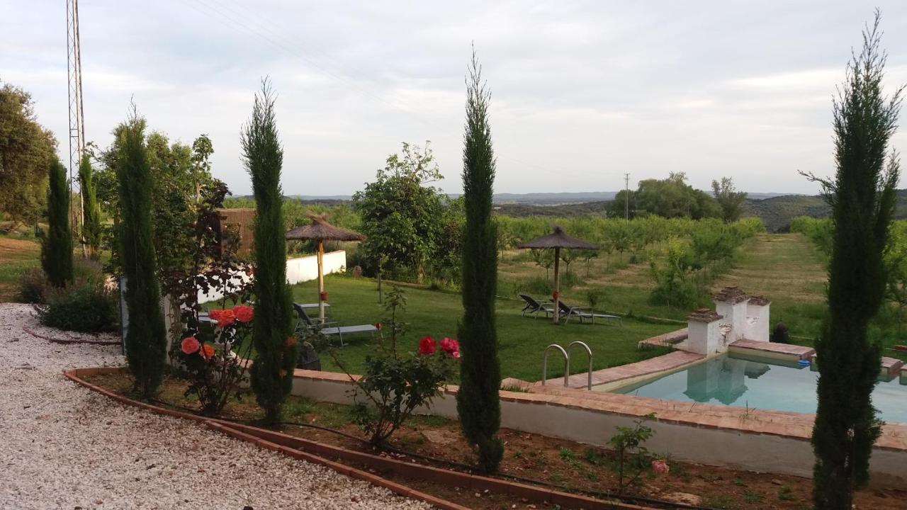 La Favorita- (adults Only)