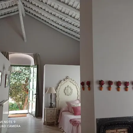 Finca La Favorita- Suites (Adults Only) Constantina Exterior photo