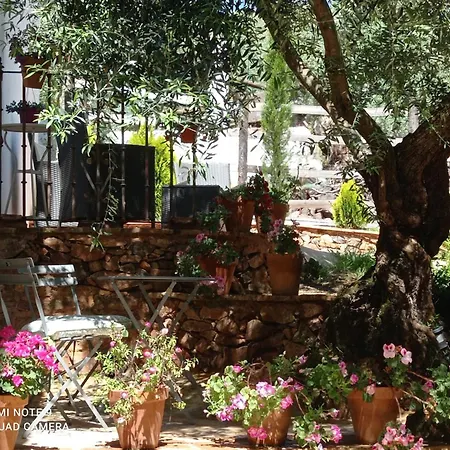 Finca La Favorita- Suites (Adults Only) Constantina Exterior photo