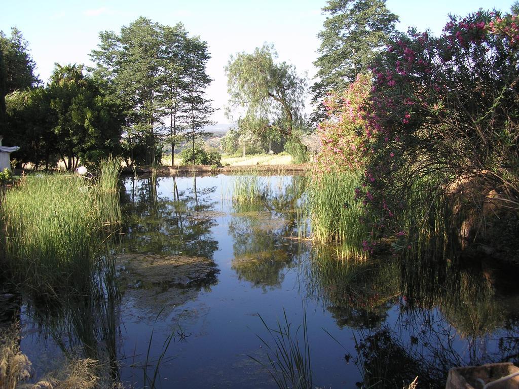 Country house La Favorita- (adults Only) Constantina