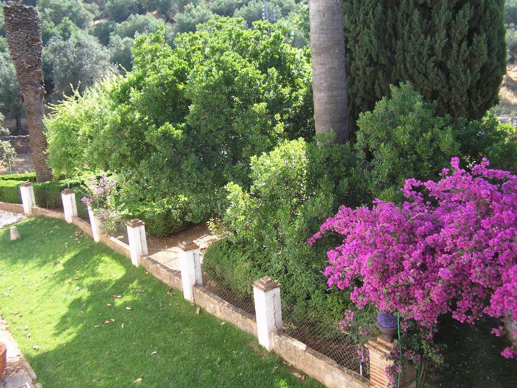 Country house La Favorita- (adults Only)