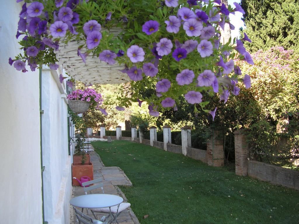 Country house La Favorita- (adults Only)