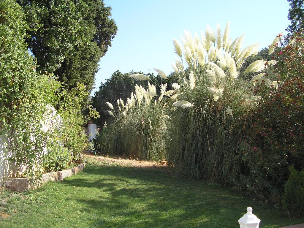 Country house La Favorita- (adults Only) Constantina