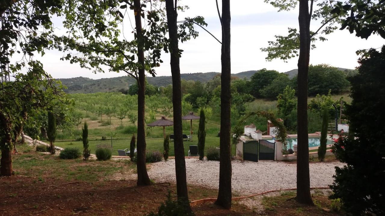 Country house La Favorita- (adults Only) Constantina
