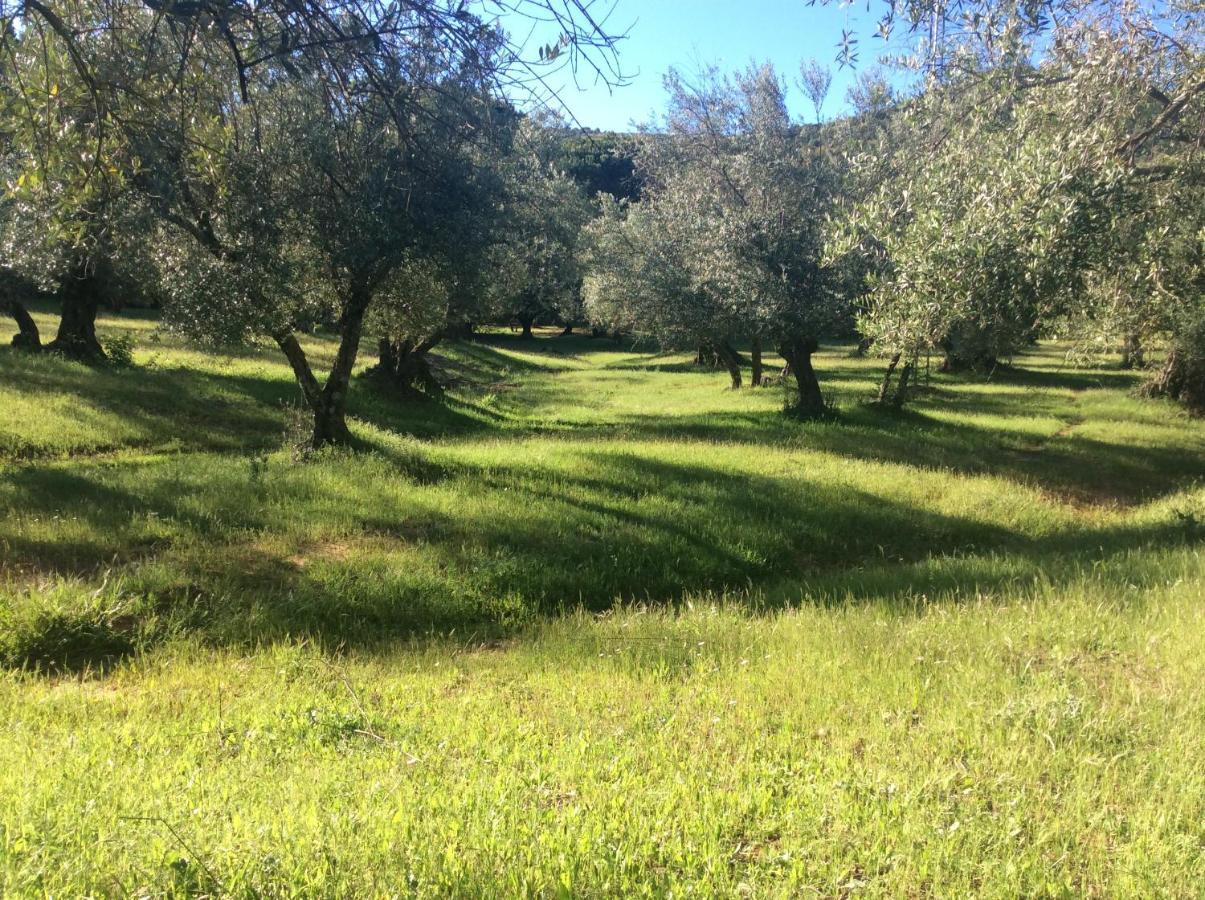 Casa di campagna La Favorita *