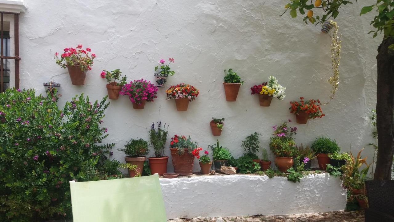 La Favorita- (adults Only) Country house