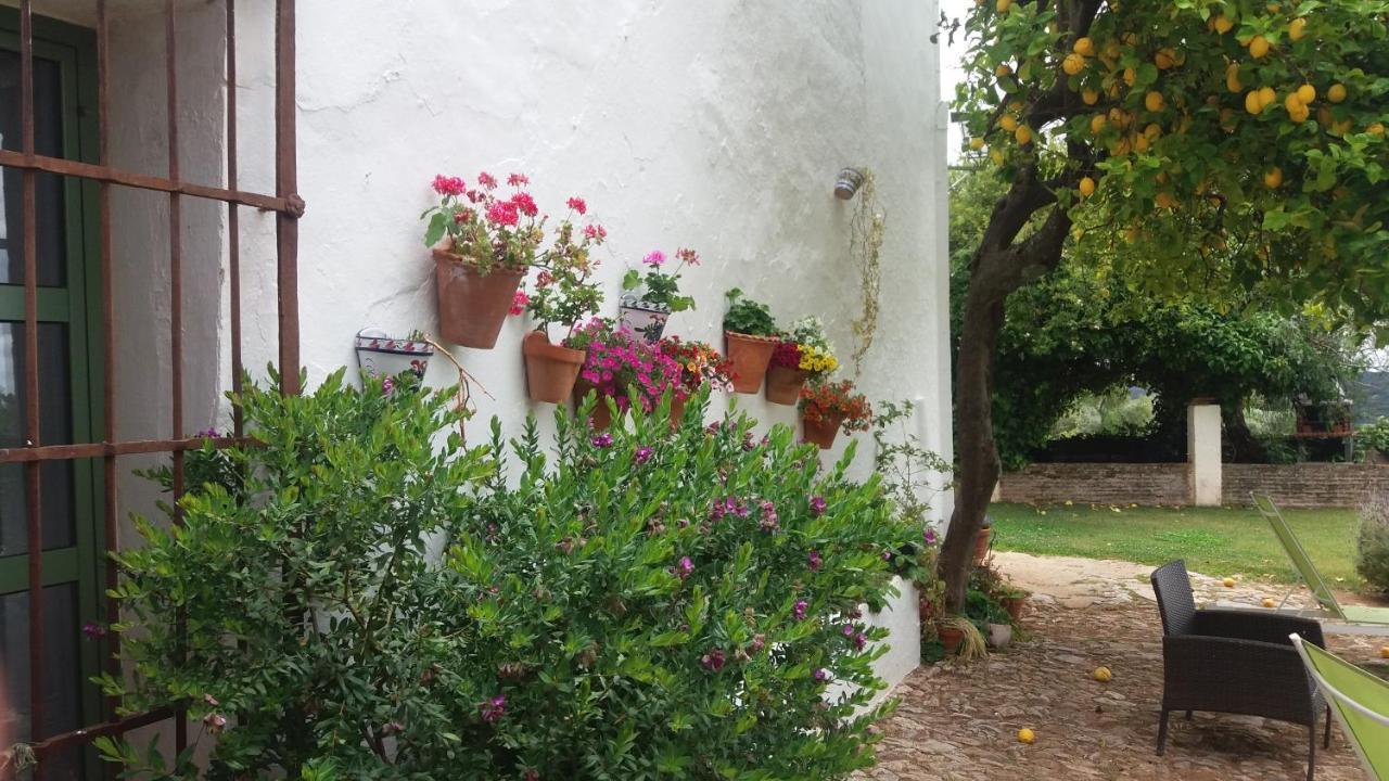 La Favorita- (adults Only) Country house Constantina